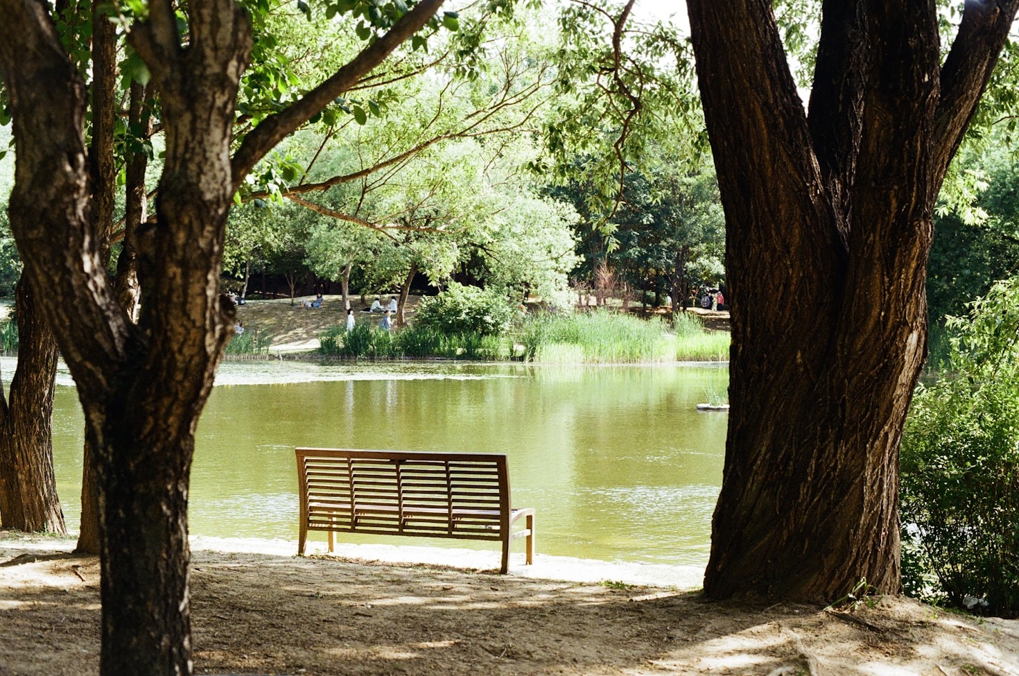 How to Plan a Sustainable Nature Vacation